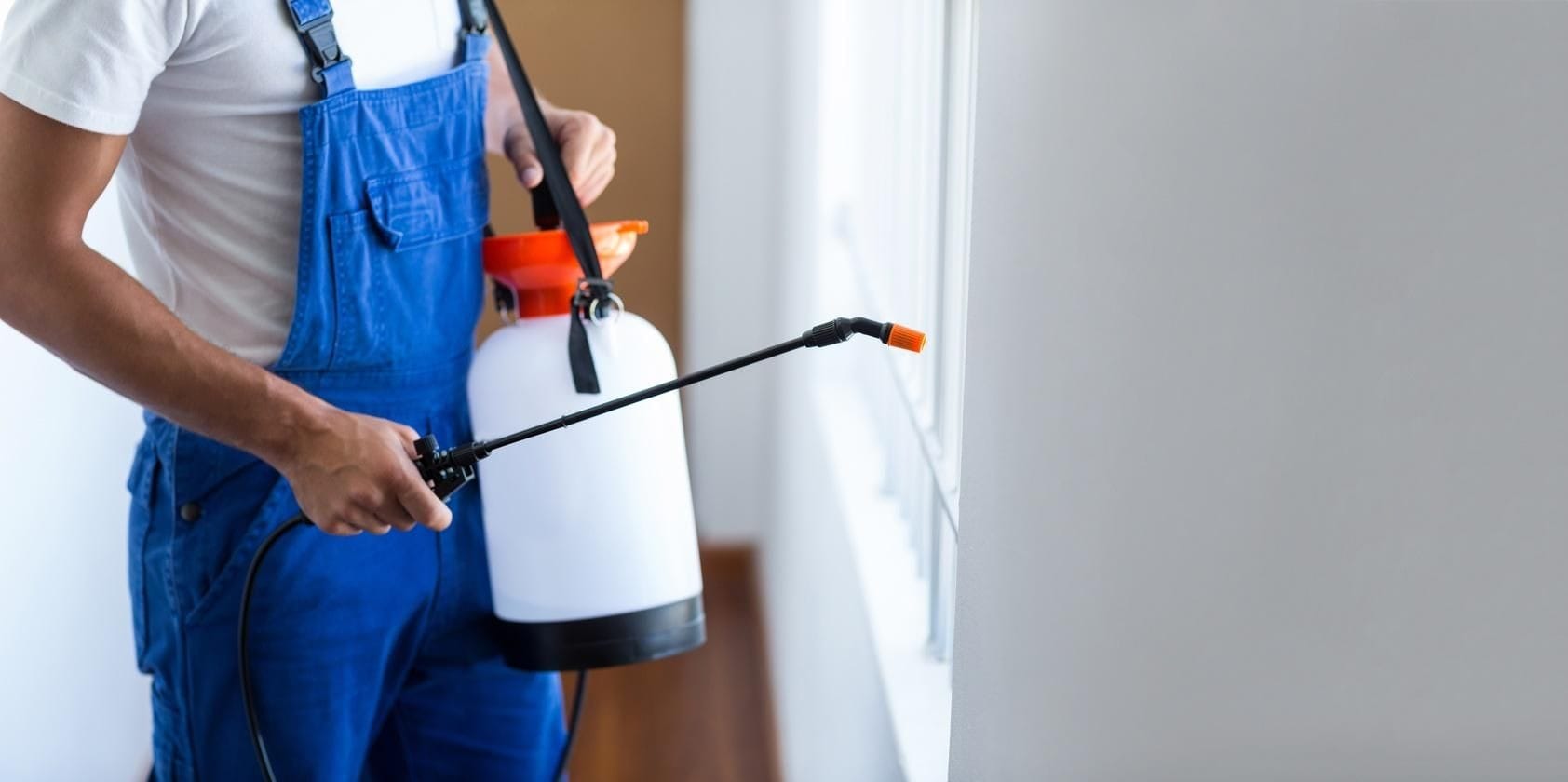 7 Top Pest Control Services of 2021 - MYMOVE