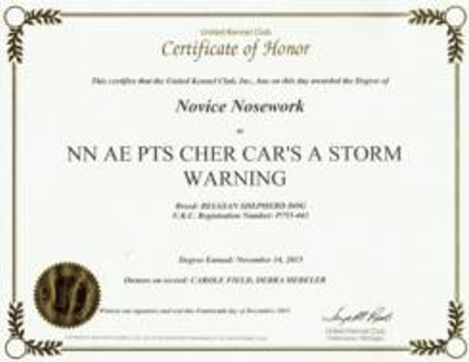 Novice Nosework Certificate commemorating FIVE titles earned: PTN-Pretrial Novice, NC-Novice Container, NI-Novice Interior, NE-Novice Exterior, NV-Novice Vehicl