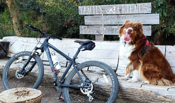 northwoods rock point tricycle