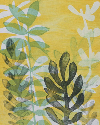 Botanical monoprint using stencil and collagraph techniques in yellow, white, green and blue