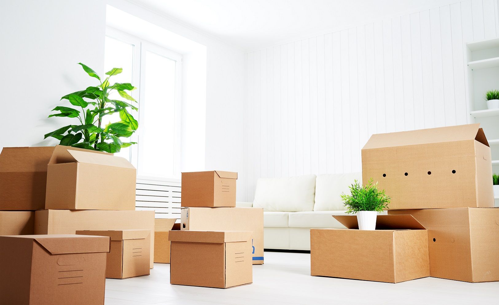 Commercial Packing Services 