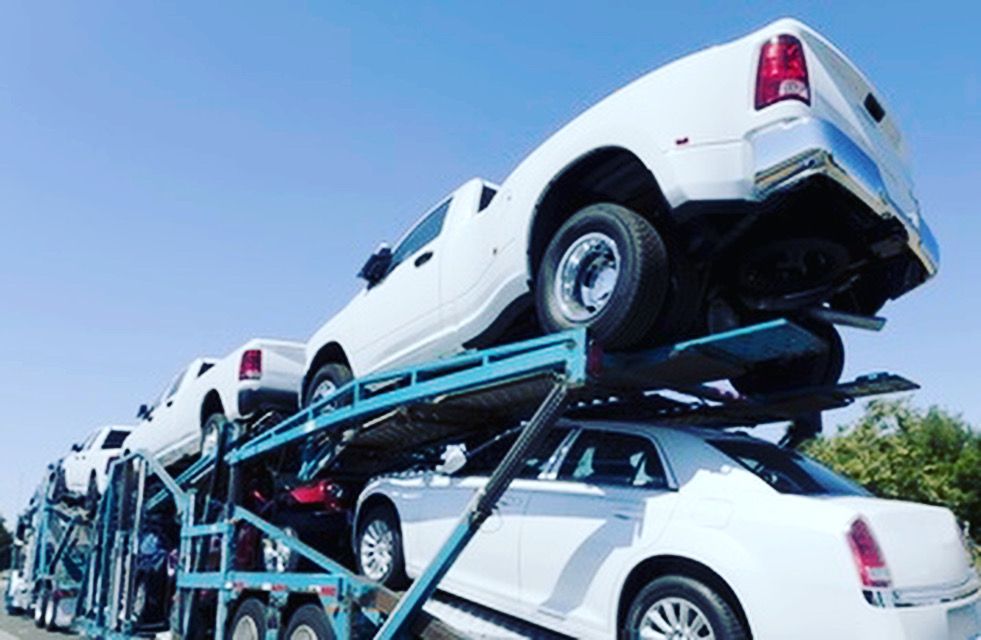 Questions Of Vehicle Transport Services