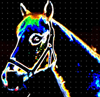 A filtered photo of an Arabian Horse by Jennifer Priester with a rainbow silhouette.