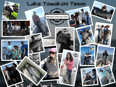 Big triphy catfishing pictures lake tawakoni texas