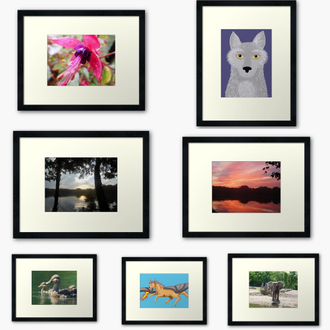 Framed art prints featuring art and photography by Jennifer Priester.