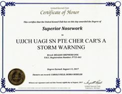 Superior Nosework Certificate commemorating FIVE 5 titles earned: PTS-Pretrial Superior, SC- Superior Container, SI- Superior Interior, SE- Superior Exterior, S