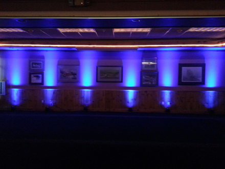 Superior Shores Resort wedding. Up lighting in blue.