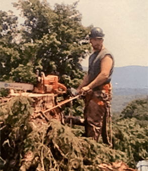 Man Removing a Tree