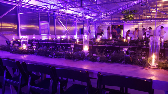 Wedding lighting at the Atrium. Up lighting in purple. Venue bistro is off in this photo.