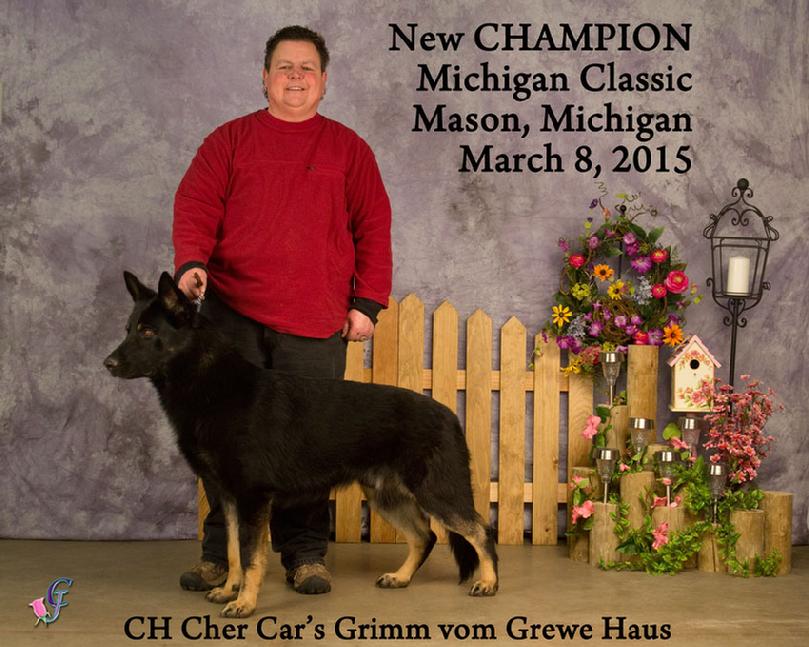 GSD UCH Grimm