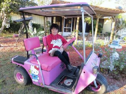 Old Woman In A Golf Pink Kart