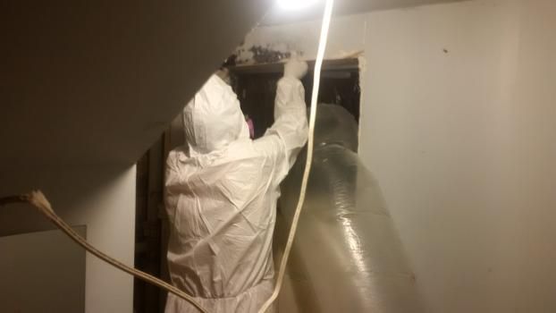 A recent mildew remediation job in the  area