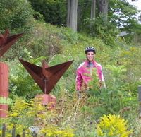  A cyclist wearing a helmet and a red biking jacket is particially blocked wildflowers and copper art work