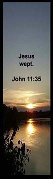 Bible Verse is from John 11:35 and says that Jesus wept so knws pain.
