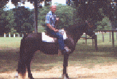 Man Sitting on a Horse