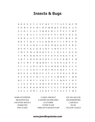 A word search puzzle featuring different types of insects and bugs Jennifer Priester has photographed.