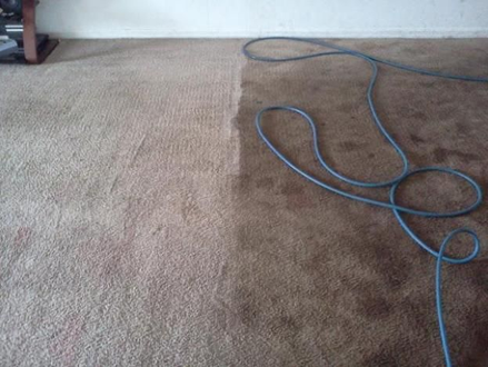 Mark Panozzo Carpet Cleaning & Painting