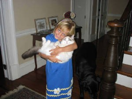 Little Girl Carrying Her Ragdoll Cat