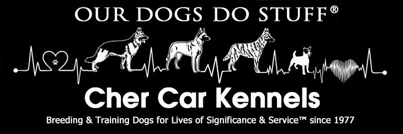 Cher Car Kennels Our Dogs doo Stuff®
