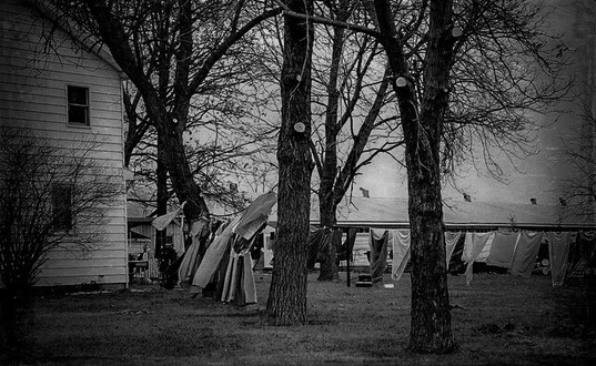 B&W photo of an Amish laundry line.