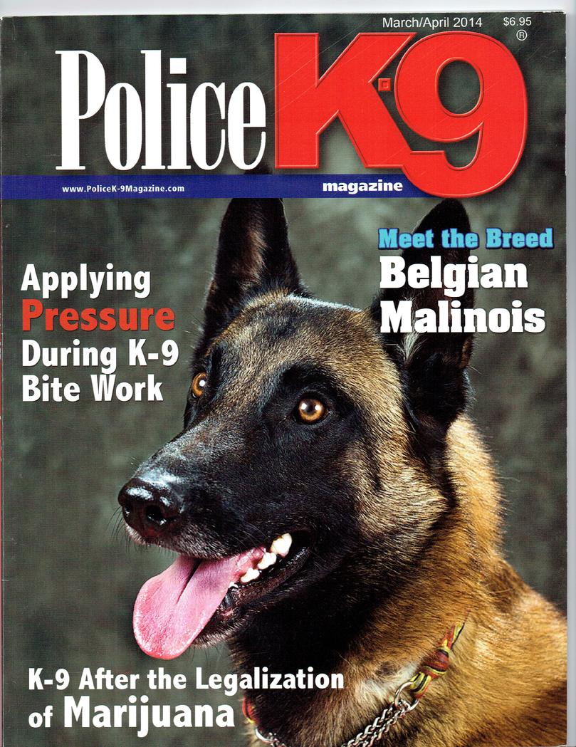 Meet the Breed, Belgian Malinois article cover