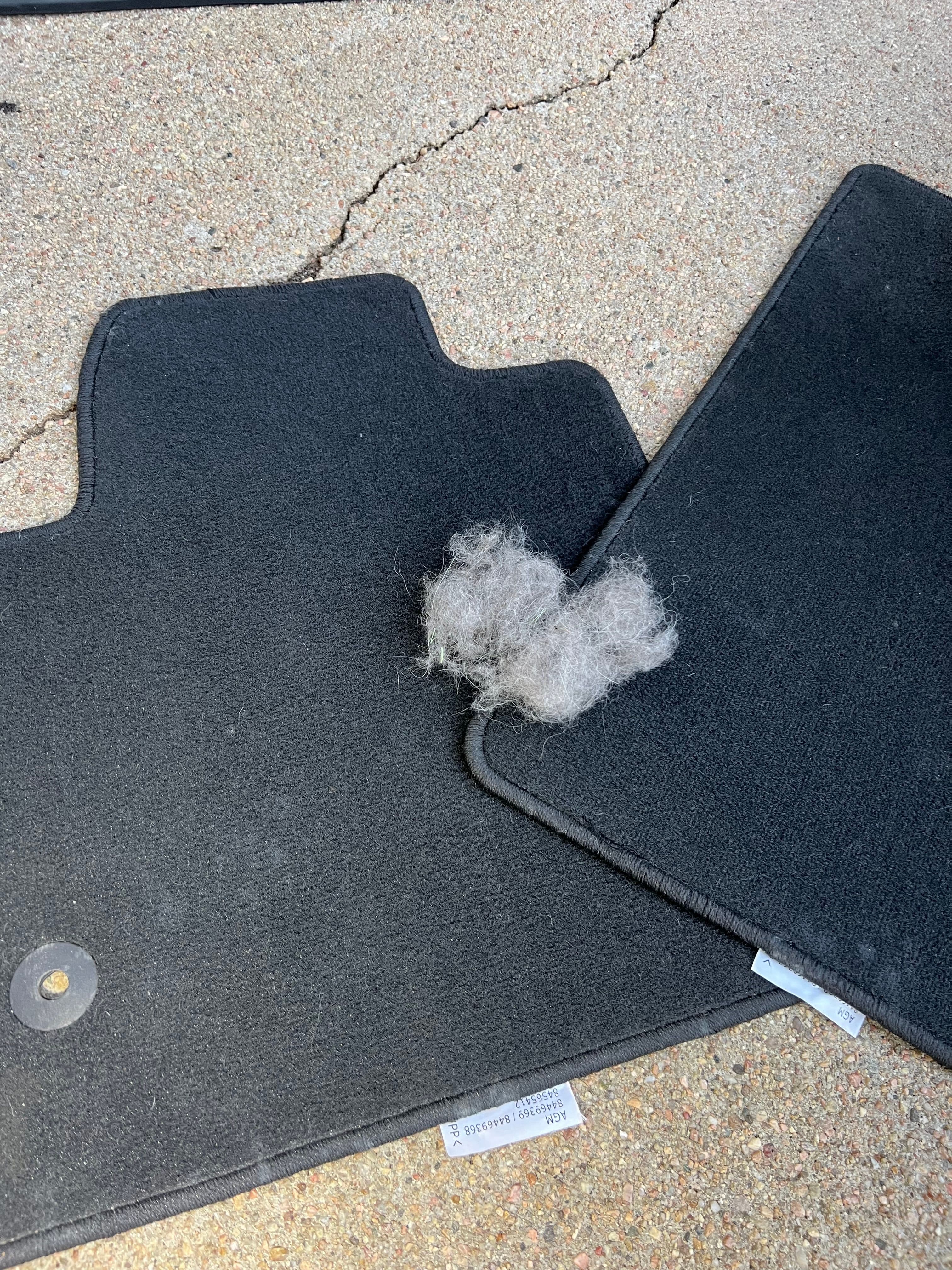 Take a look at all of the pet hair that came out of these 2 floor mats