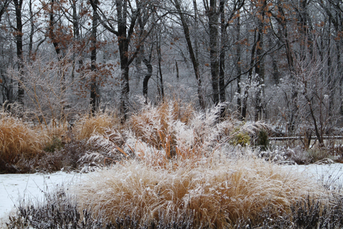 https://www.chicagobotanic.org/plantinfo/smartgardener/photographing_garden_winter
