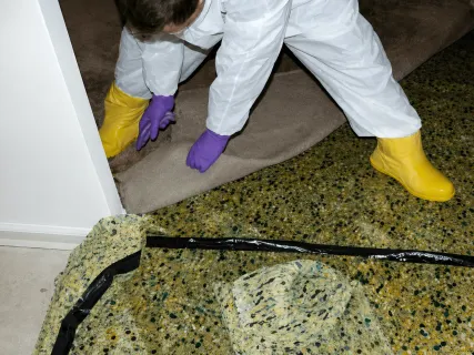 Professional water damage cleanup and restoration by Bio-Clean of New Jersey to help prevent mold and contamination.