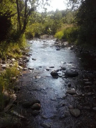 Photo of the beautiful Ruby Creek where the idea of publishing Northern Journeys Magazine came to mind for Jason Thomas.