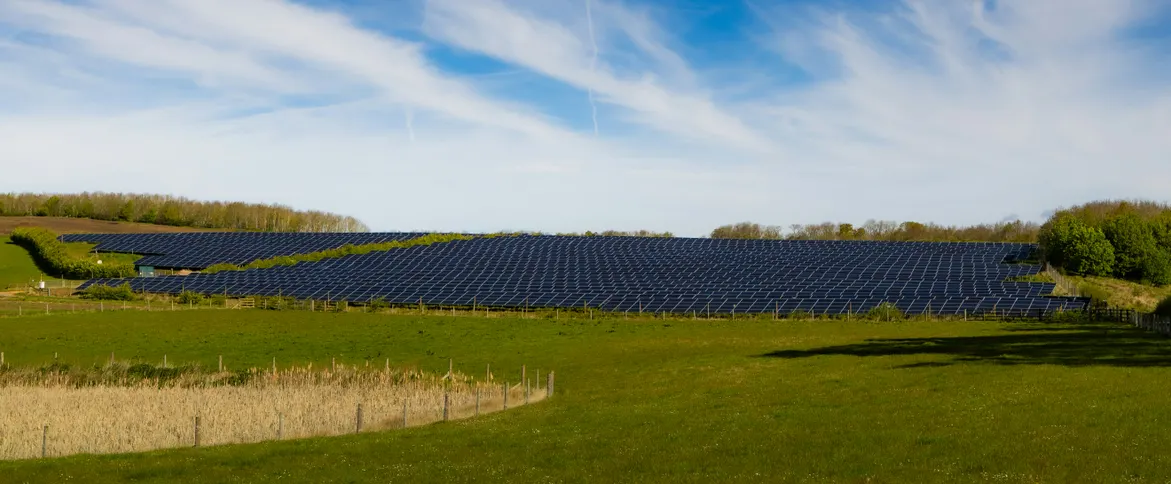Rows of solar panels in a green field under a blue sky