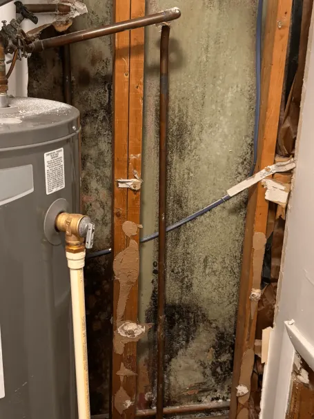 Mold growth behind a wall near a water heater. Bio-Clean of New Jersey provides professional mold testing and remediation.