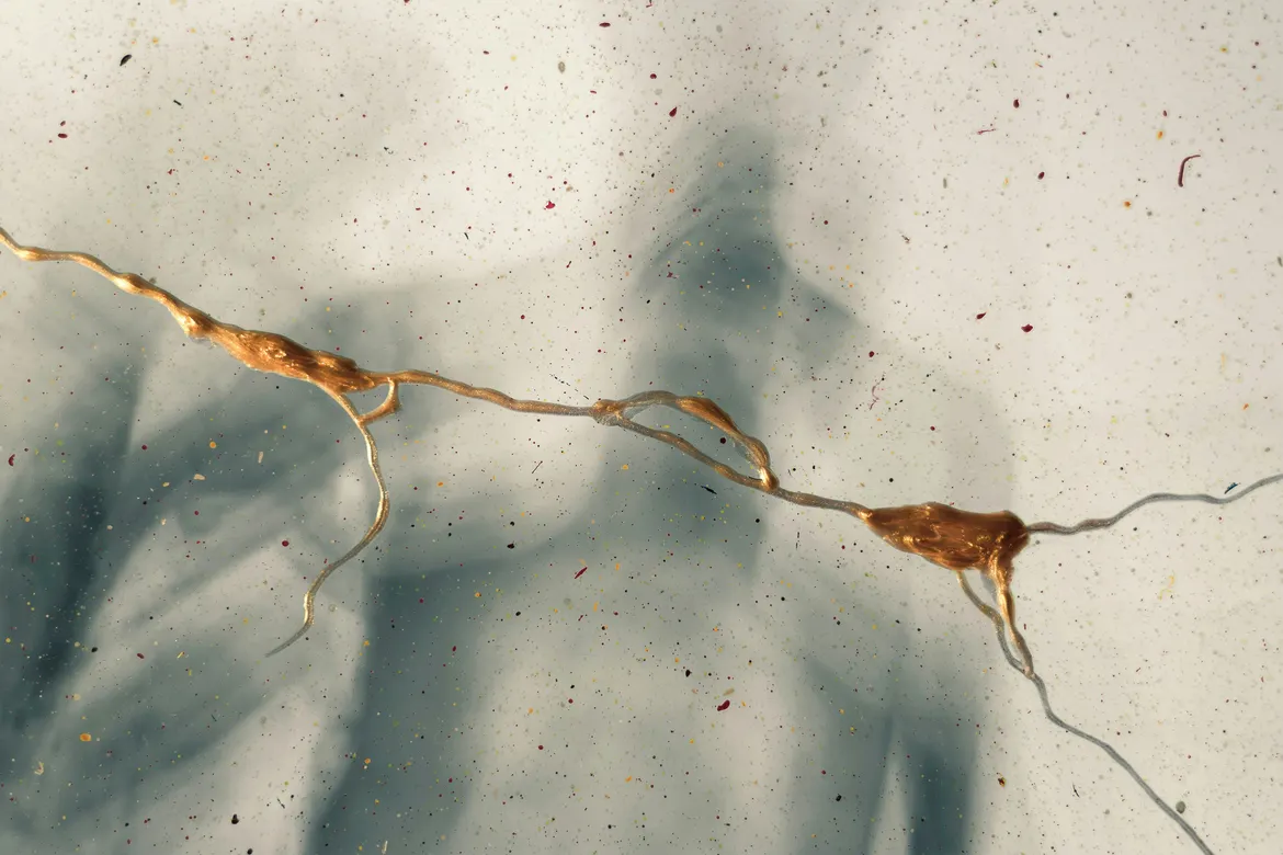 Zoomed in image of gold applied to a piece of ceramic via the kintsugi method of restoring broken pieces to wholeness again