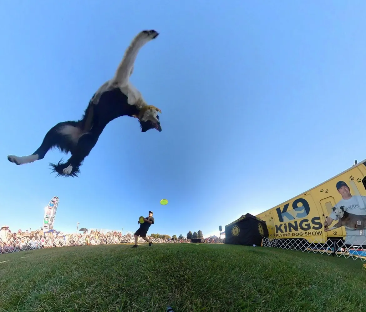 2025 Deschutes County Fair Nationally renowned animal entertainment act for all types of events.
