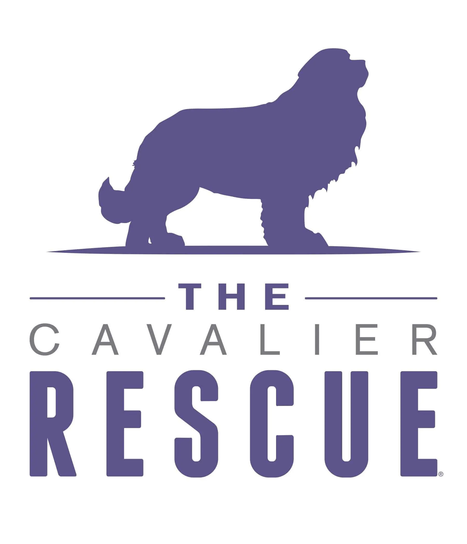 logo title logo image