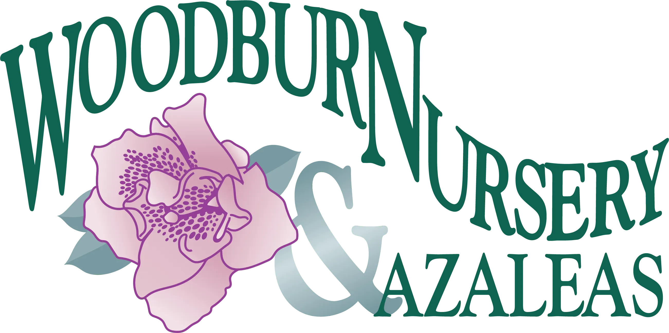 logo image