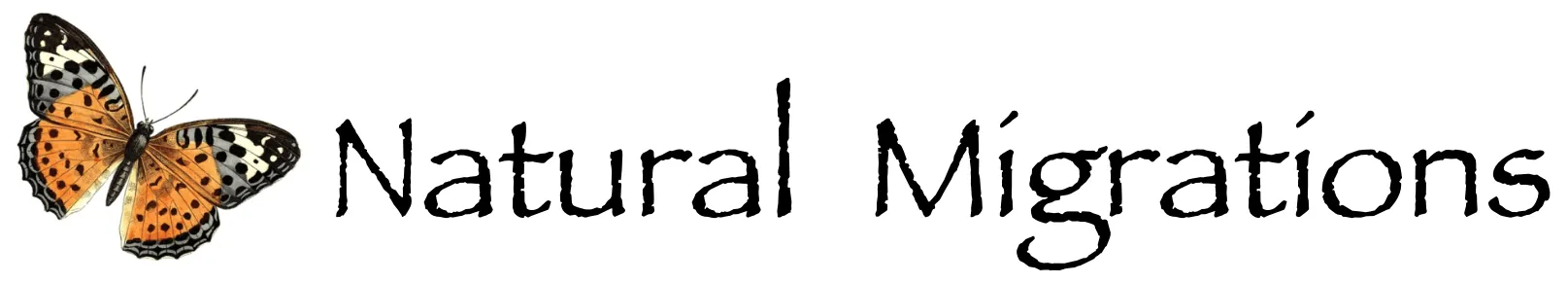 logo image