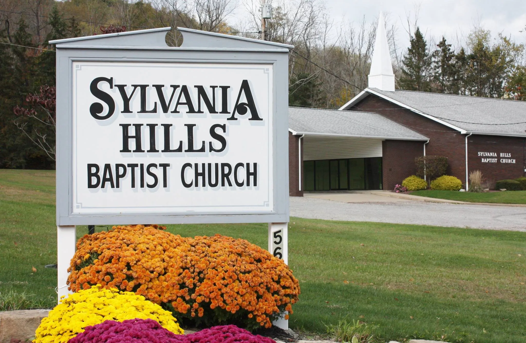 logo image