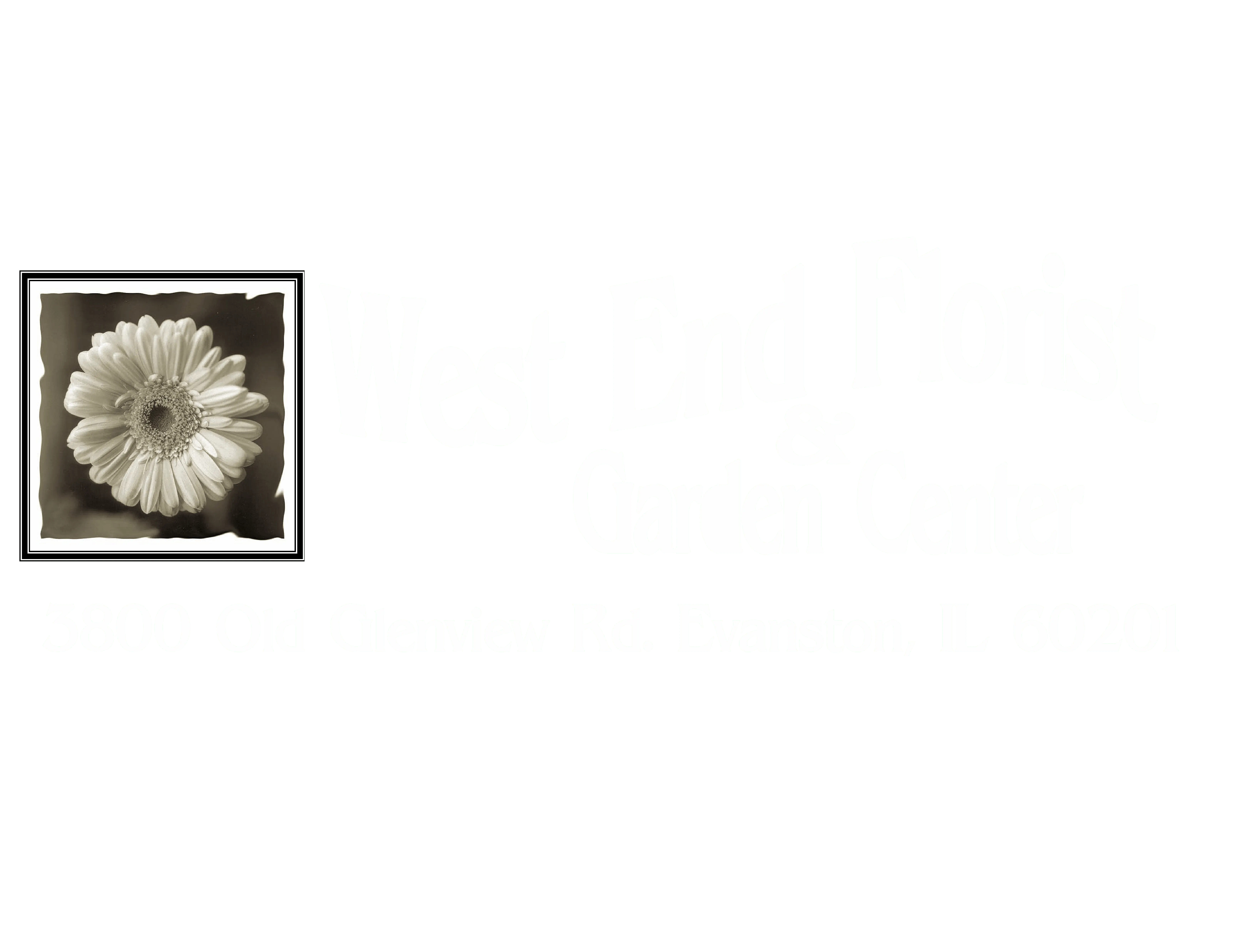 logo title logo image