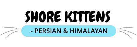 logo title logo image