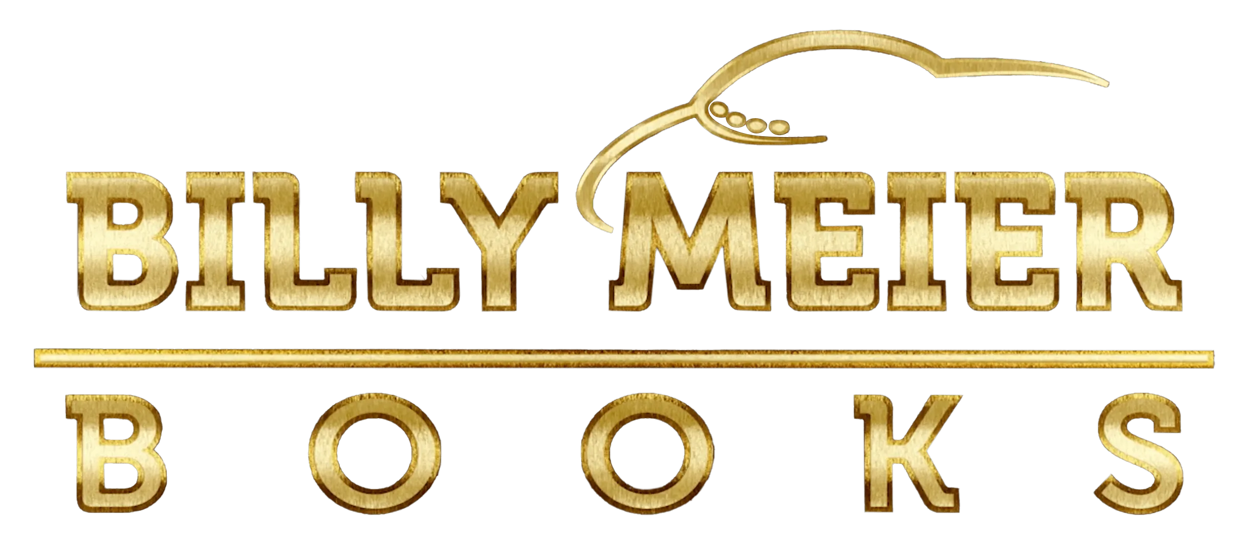 logo image