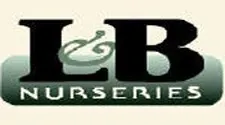logo title logo image