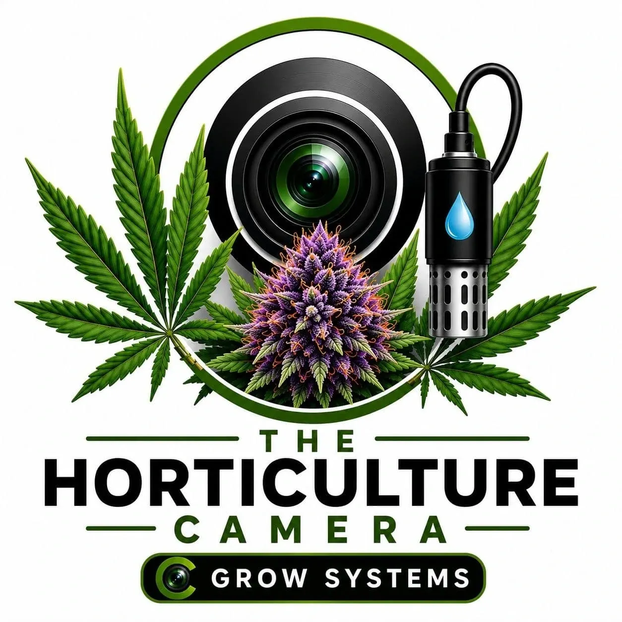 logo image