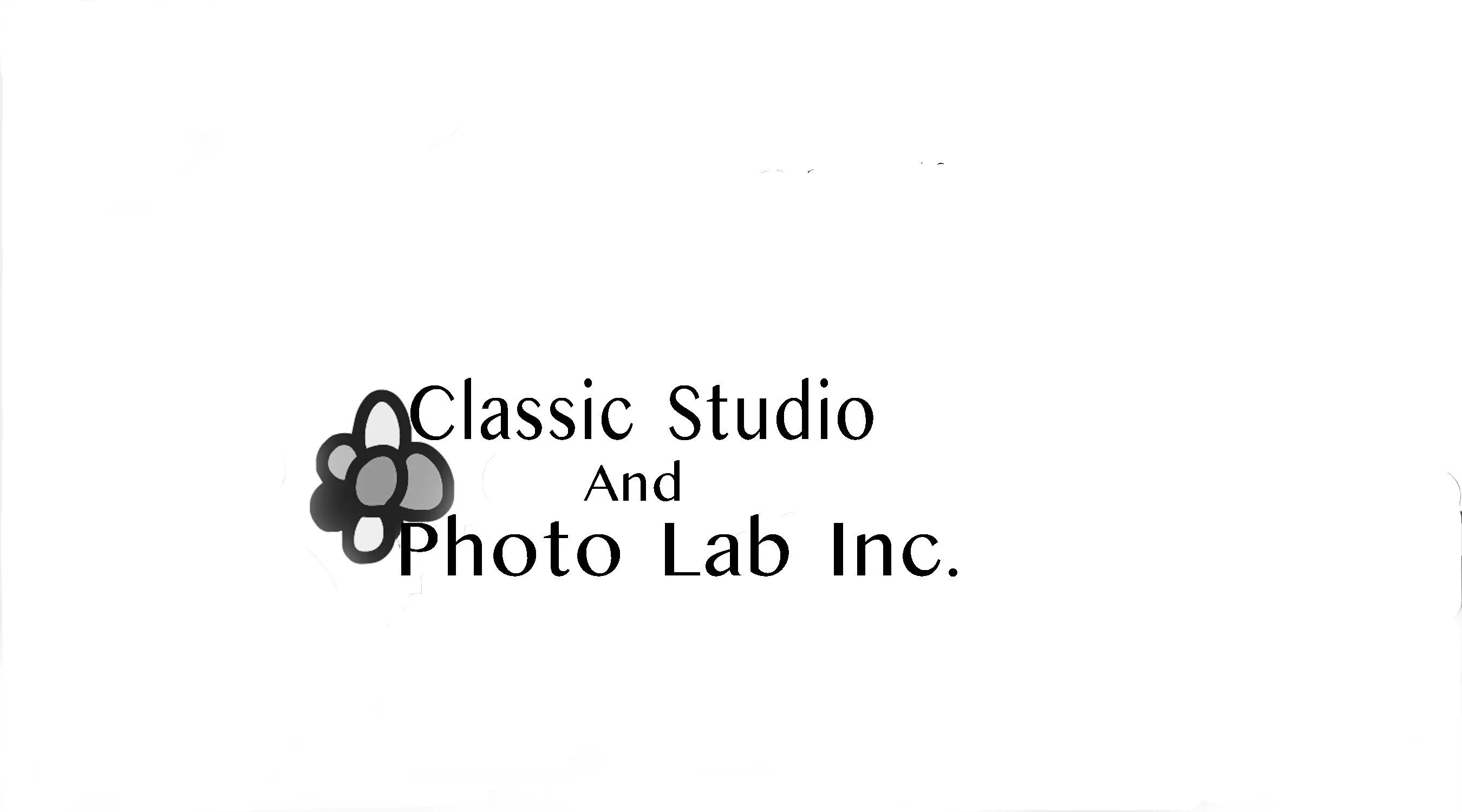 logo image